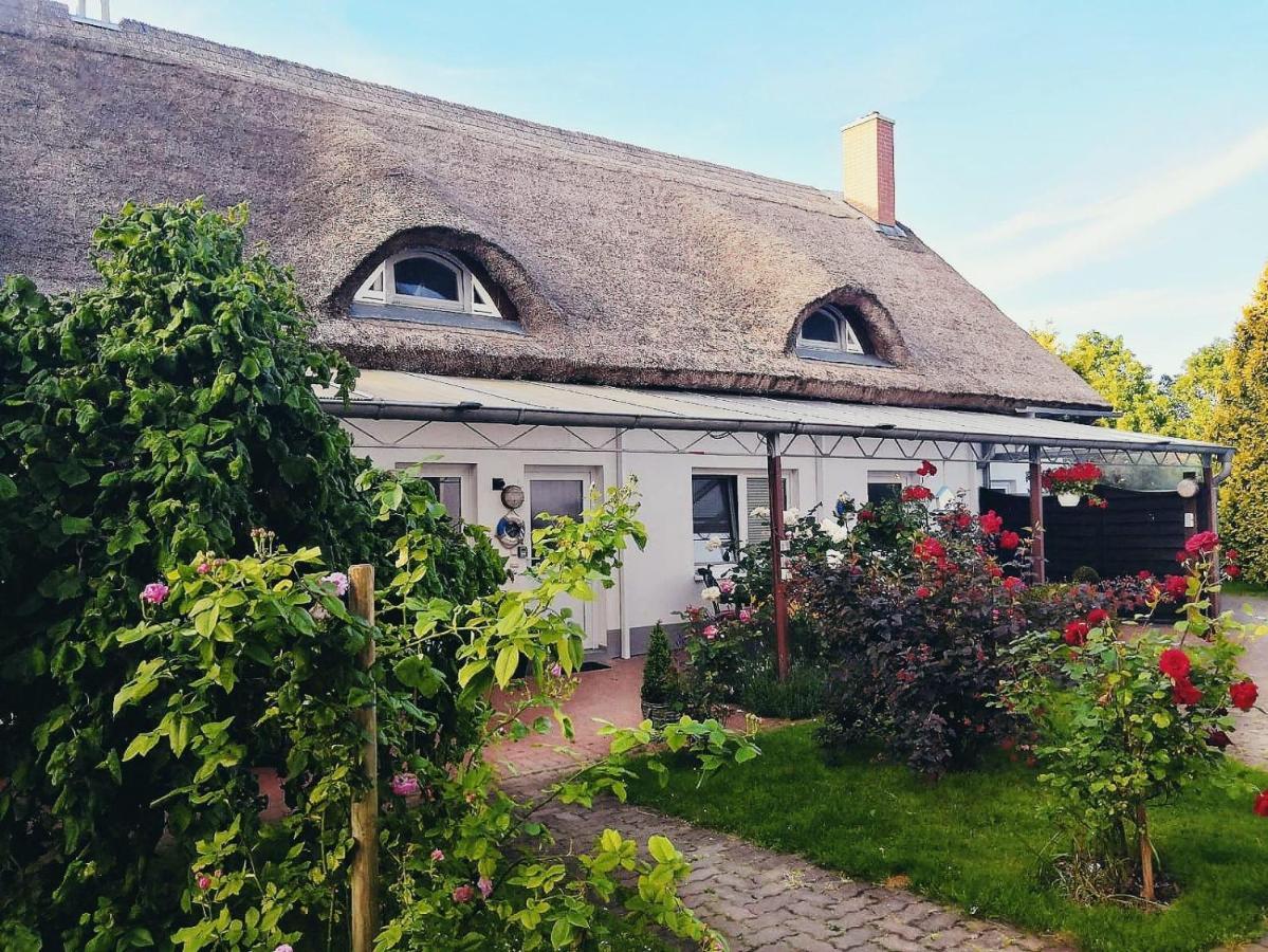 Reet Landhaus Ruegen Ummanz Luaran gambar